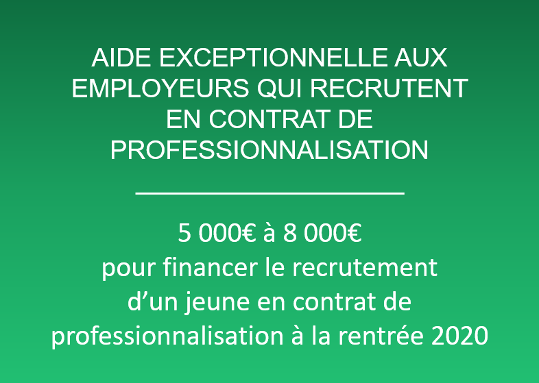 Aide Aux Employeurs Contrat De Professionnalisation